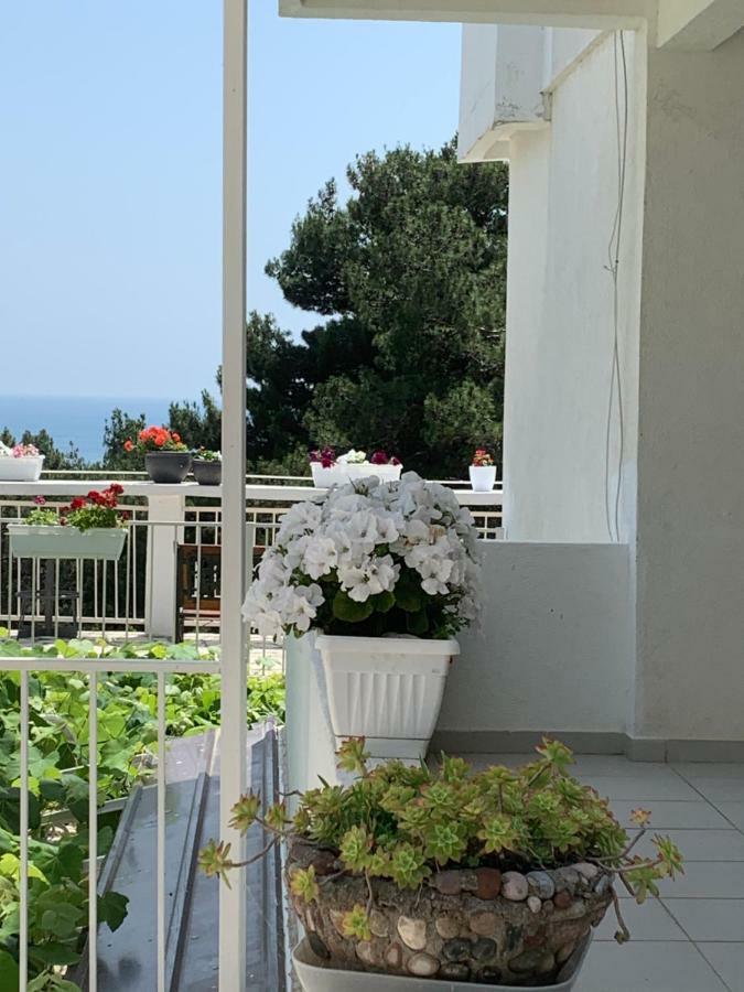 Apartments Ljiljana Bar Exterior photo